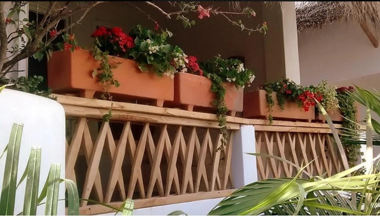 Villa Maria Bed And Breakfast Пуэрто-Эскондидо Экстерьер фото